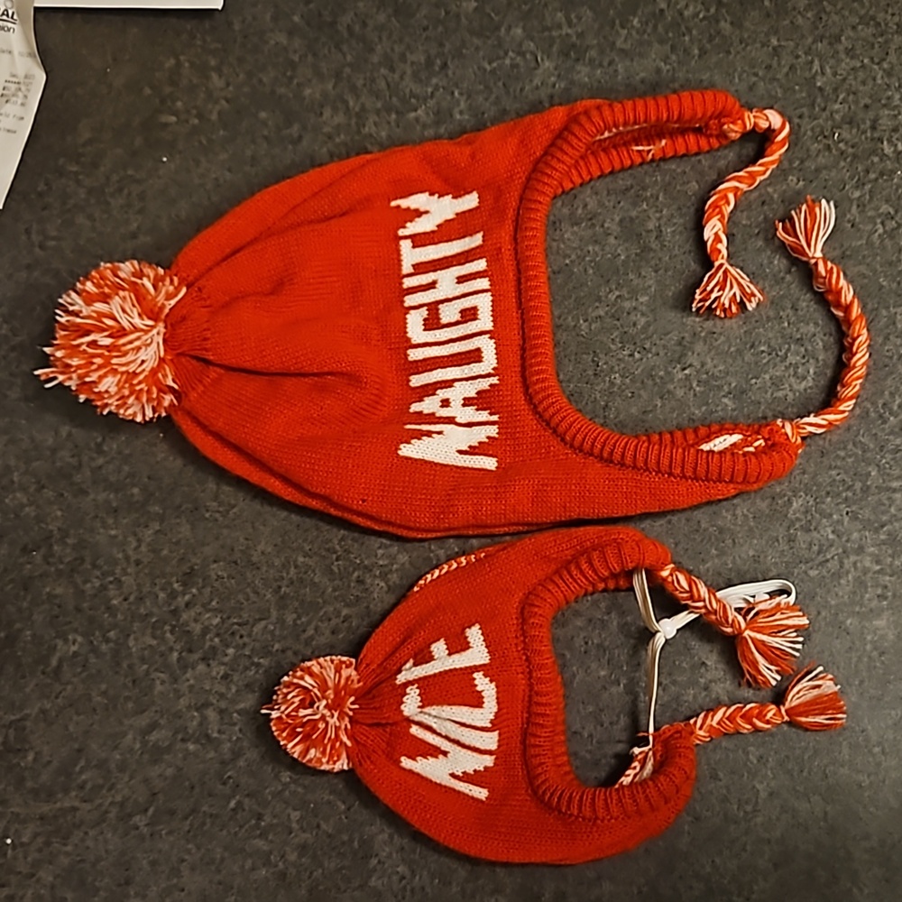 Matching dog and owner Christmas hats, red